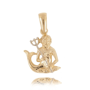 Znak zodiaku złoty 585 #2053